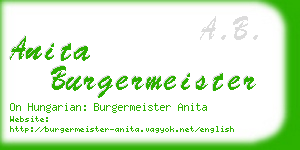 anita burgermeister business card